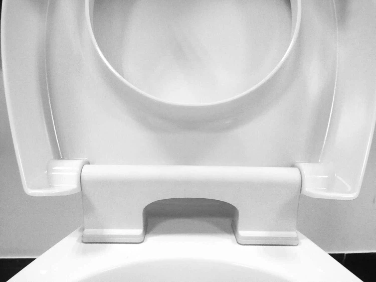 toilet seat for senior citizens hinge toilet seat for senior citizens hinge