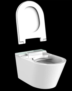smart toilet bidet system smart toilet bidet system