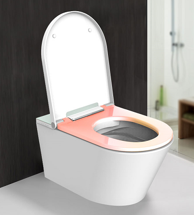 toilet and bidet in one introduction toilet and bidet in one introduction