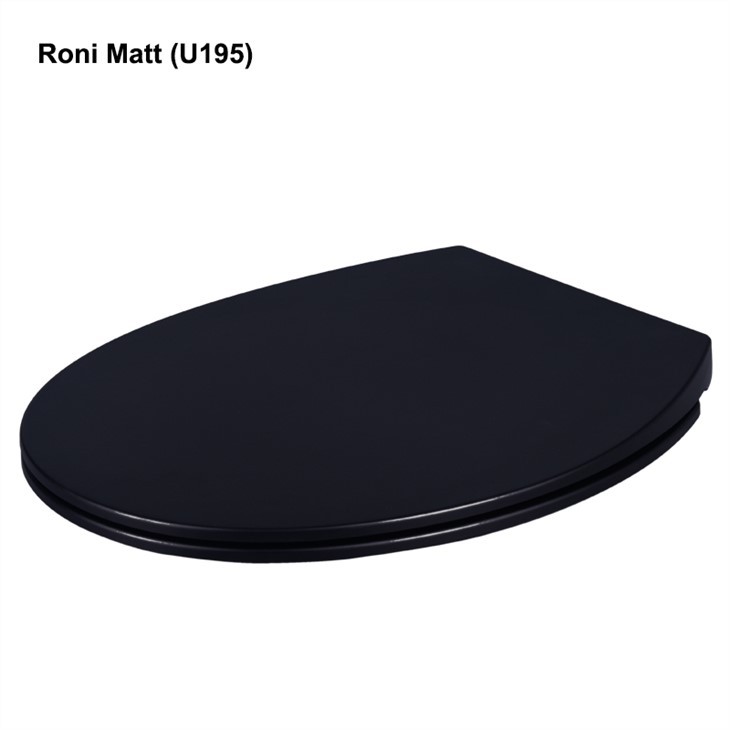 Matte Black Soft Close Toilet Seat