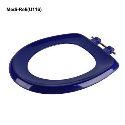 Blue Round Toilet Seat