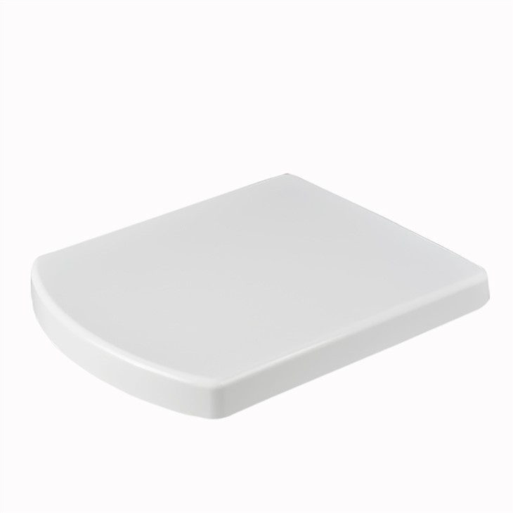 Square Front Toilet Seat