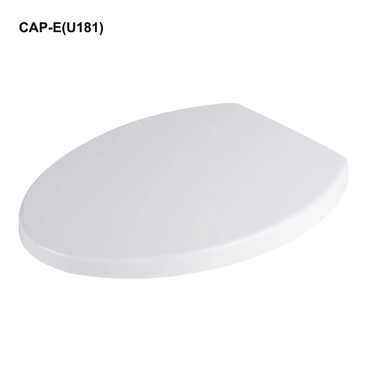 Toilet Seat Elongated