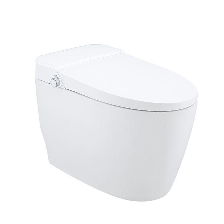 Automatic Smart Toilet