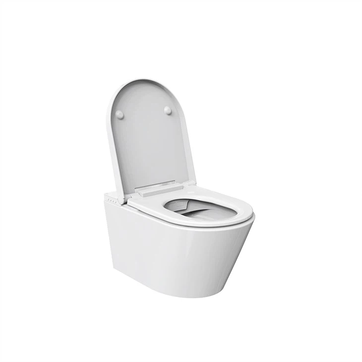 Bidet Smart Toilet
