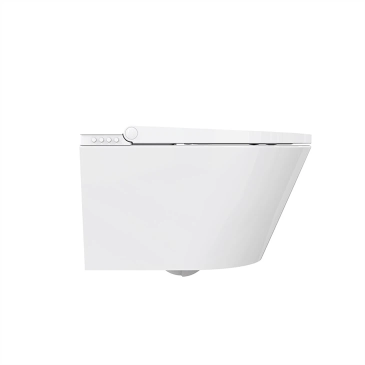 intelligent toilet