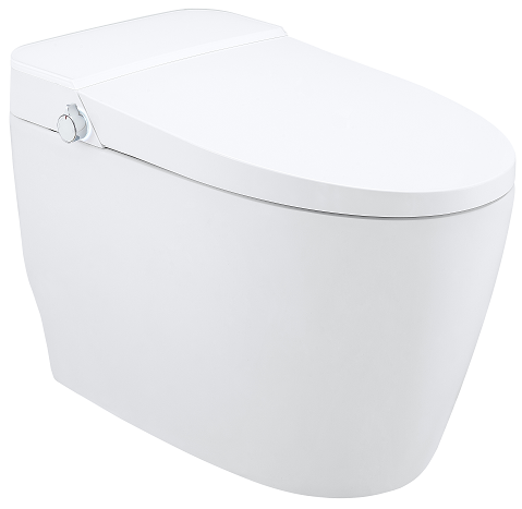 Floor Mounted Smart Toilet