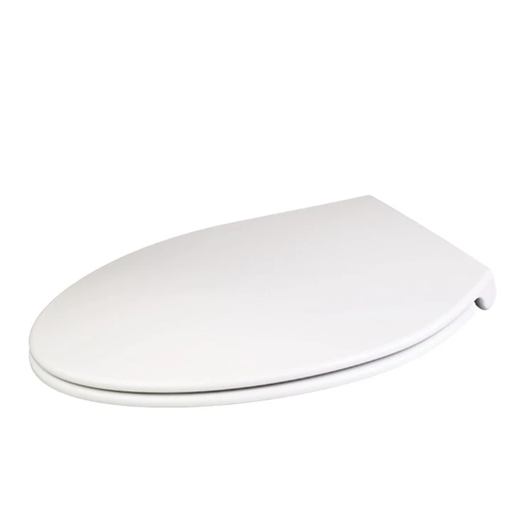 1 toilet-seat-elongated