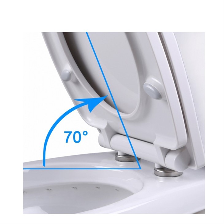 Plastic Toilet Hinges