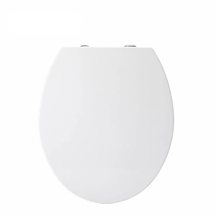 2-in-1-toilet-seat