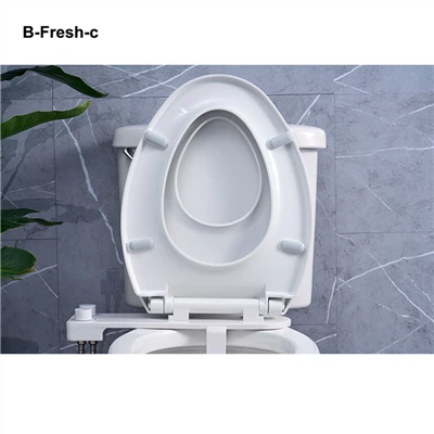 Bidet For Quick Release Toilet Seat