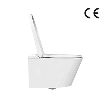 Bidet Toilet With Remote