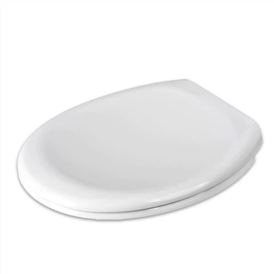 European Toilet Seat Replacement