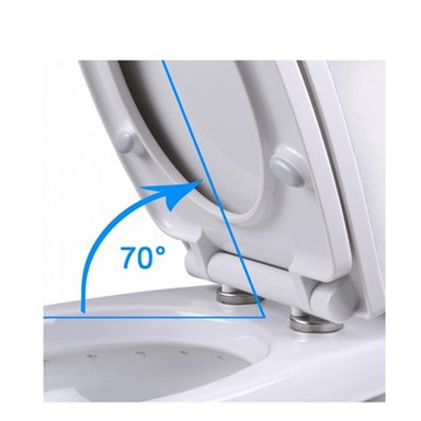 Plastic Toilet Hinges