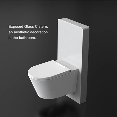 Pneumatic Toilet Cistern