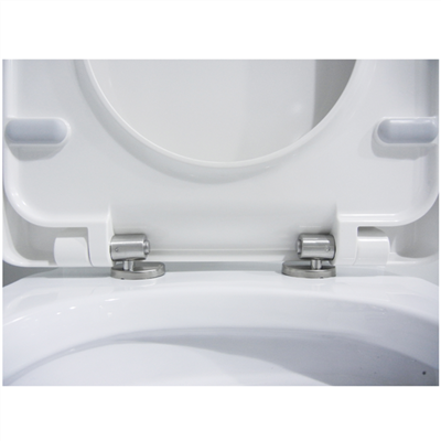 Stainless Steel Soft Close Toilet Seat Hinges
