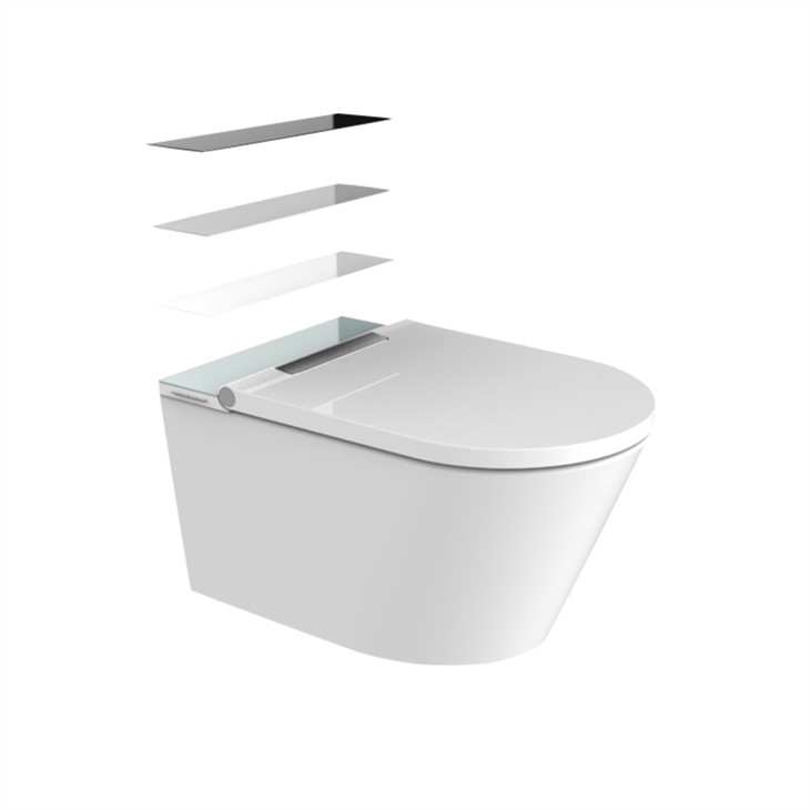 smart toilet with remote
