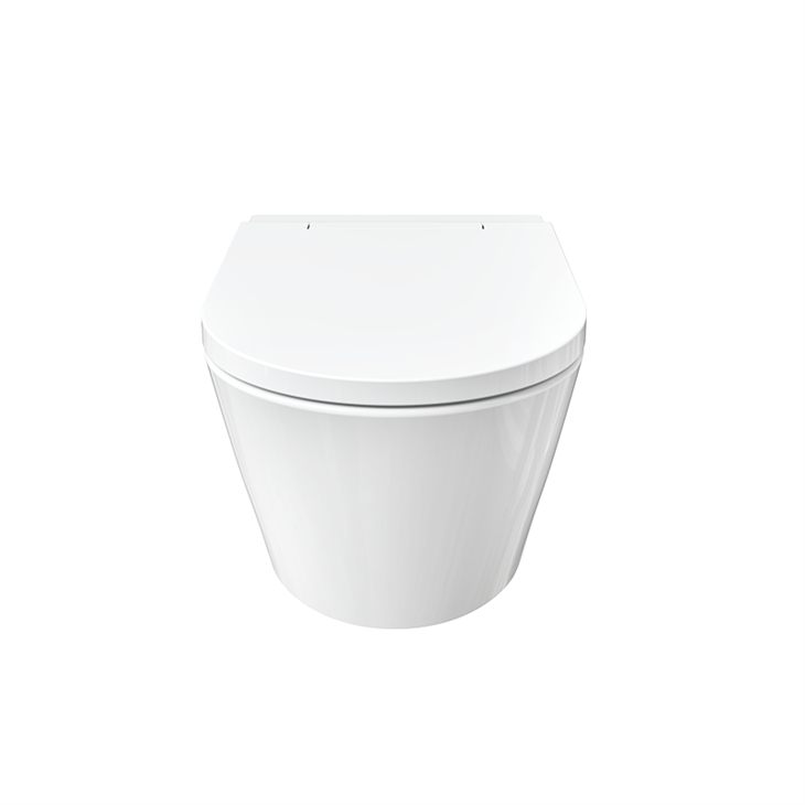 smart toilet with bidet wash function