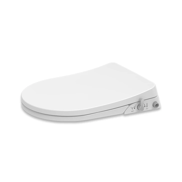 toilet-seat-with-a-bidet-manufacturers-suppliers-factory