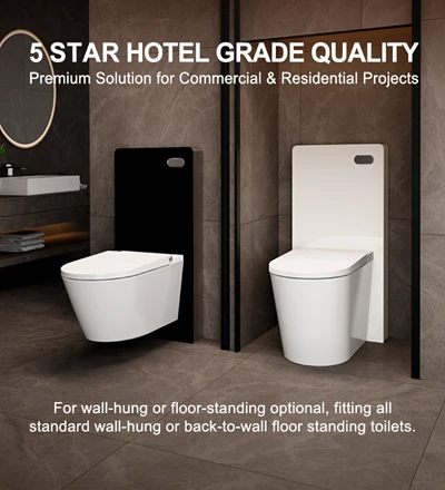 Glass cistern for wall hung toilet