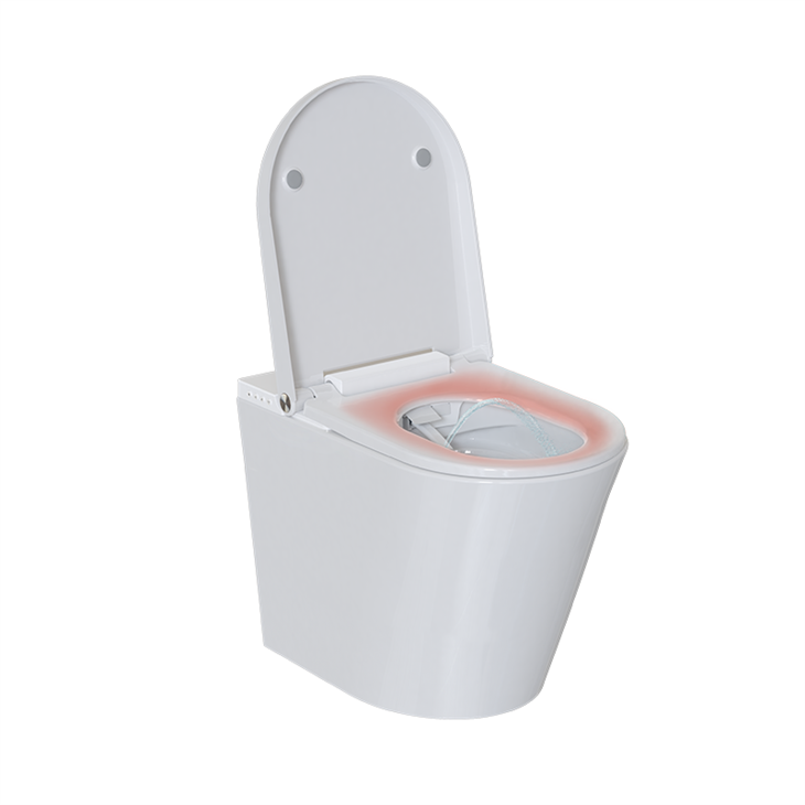 floor standing toilet