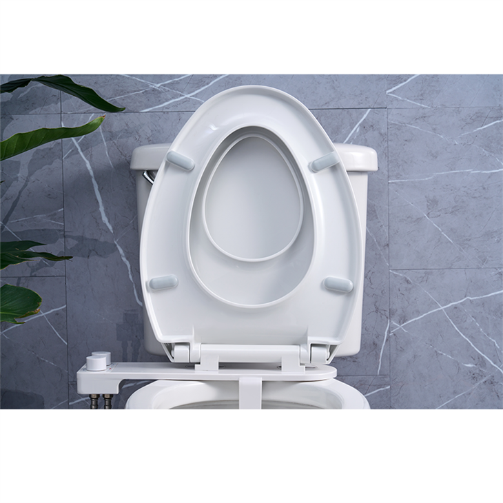 european bidet