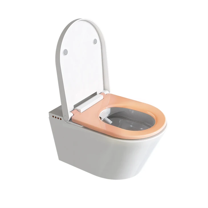 Bidet Toilet With Warm Water And Dryer