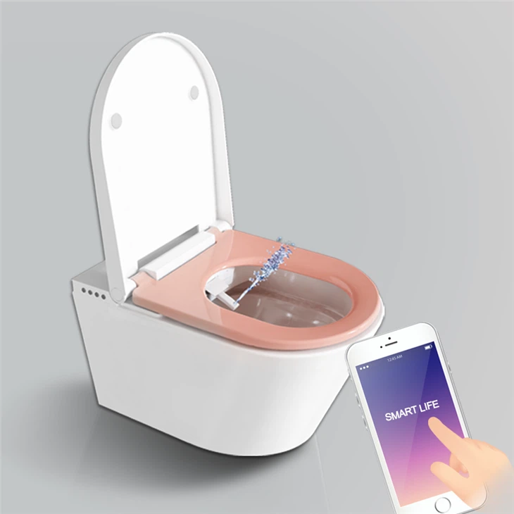 Luxury Smart Toilet With Remote Control And Dryer