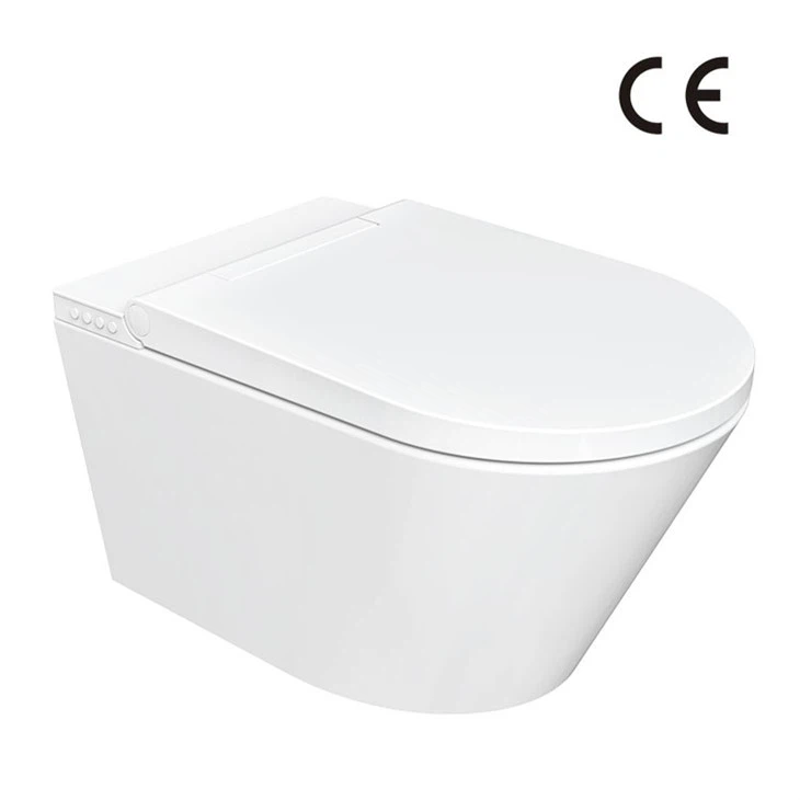 toilet with heated seat and bidet