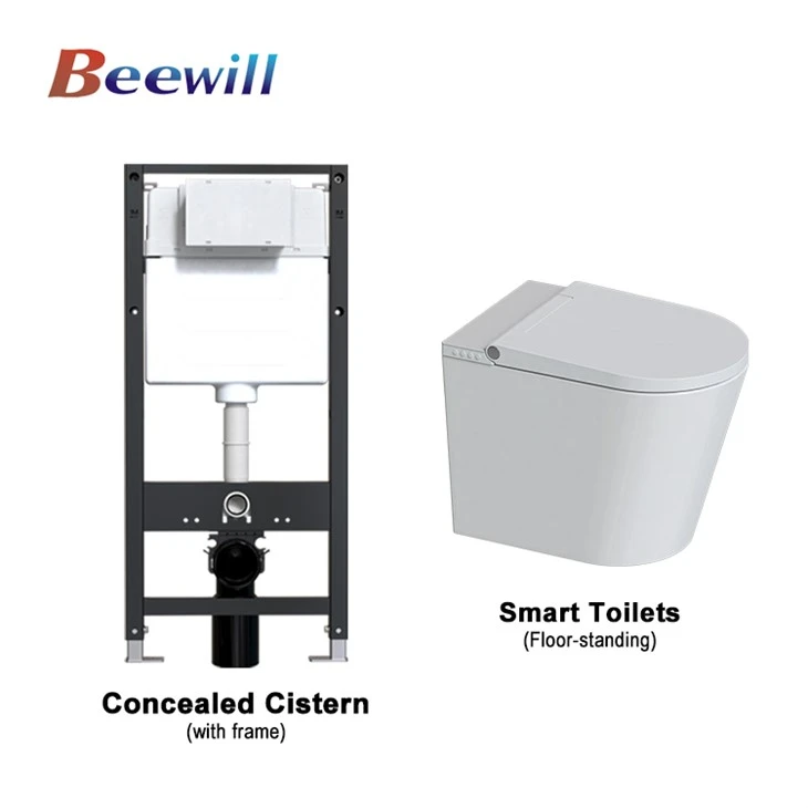Back To Wall Rimless Toilet With Concealed Cistern