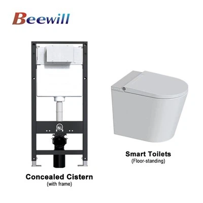 Floor Standing Toilet With Concealed Cistern
