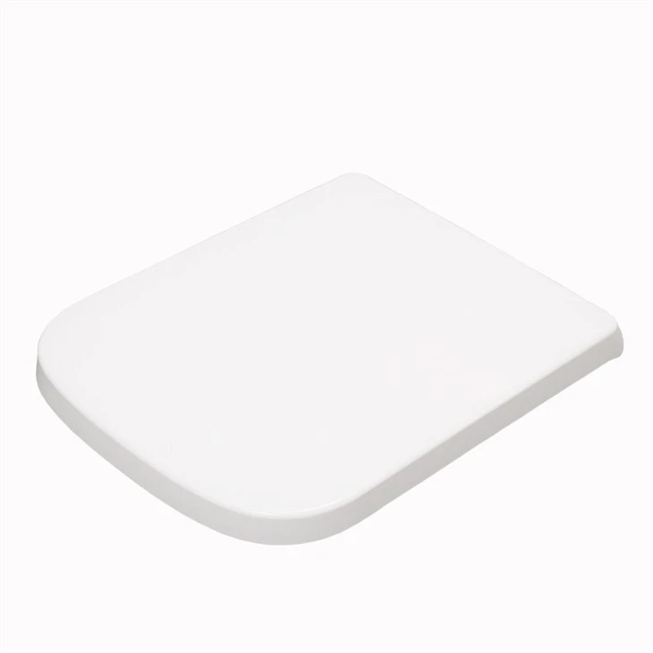 Square Toilet Seats Uk